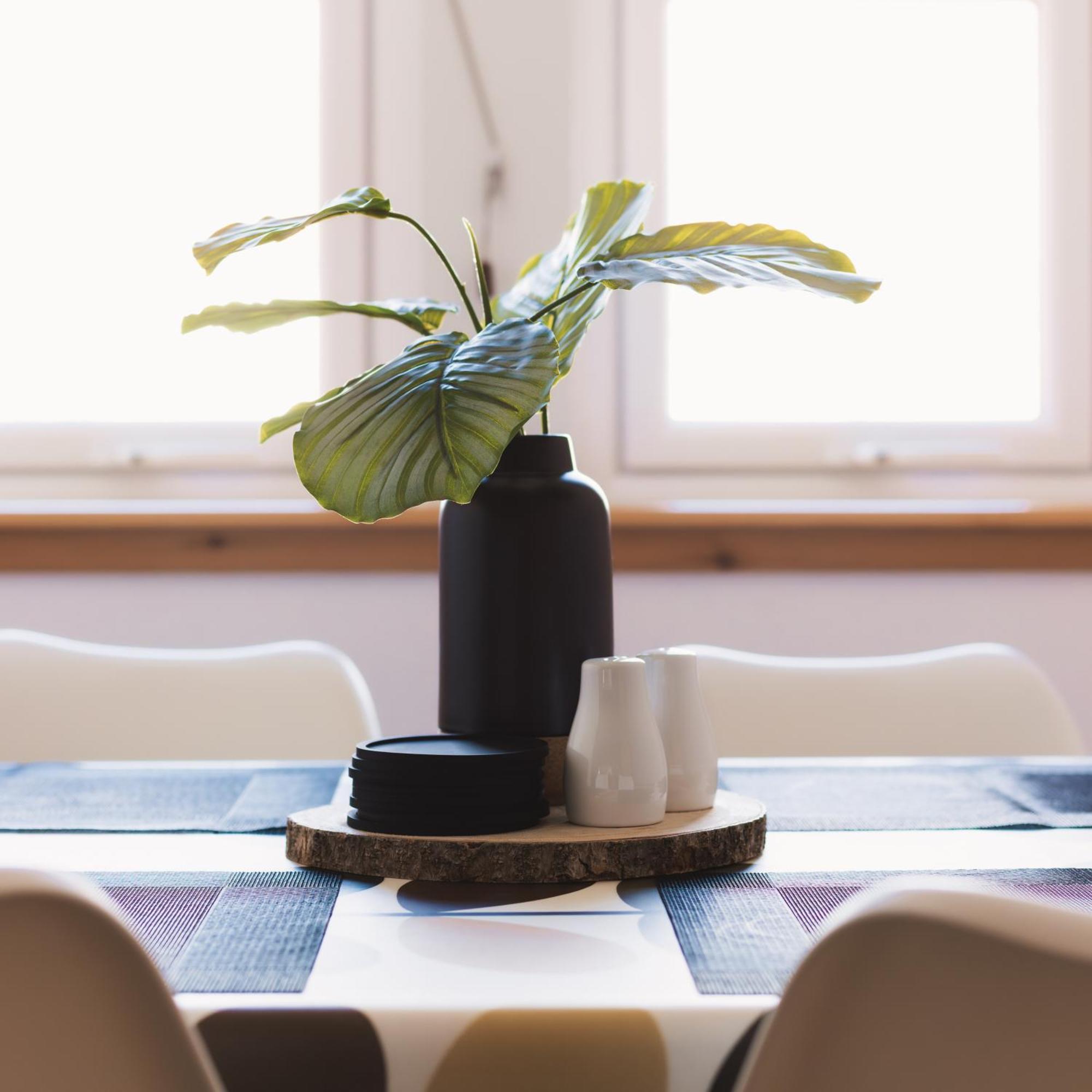 Acorn In Cellardke Apartment